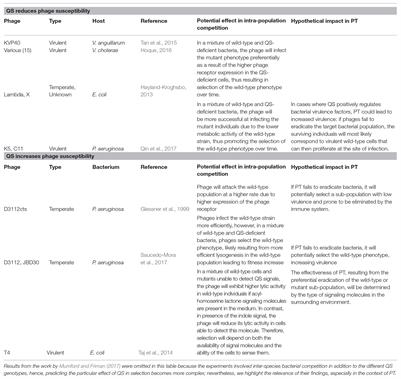 Eco-Evolutionary Effects of Bacterial Cooperation on Phage Therapy: An Unknown Risk?